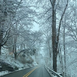 Meet your Posher, Mila